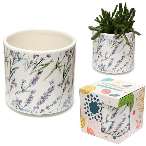 Lavender Fields Ceramic Indoor Plant Pot - Large