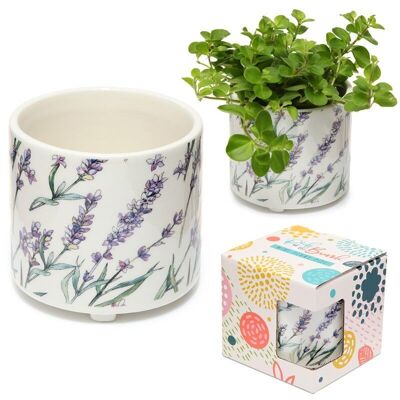 Lavender Fields Ceramic Indoor Plant Pot - Small