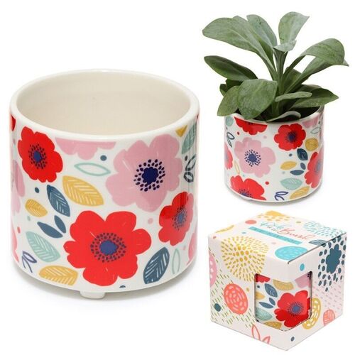 Poppy Fields Ceramic Indoor Plant Pot - Small
