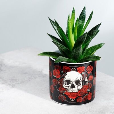 Skulls & Roses Blumentopf aus Keramik für den Innenbereich – klein