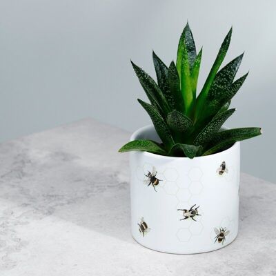The Nectar Meadows Bee Ceramic Indoor Plant Pot - Small
