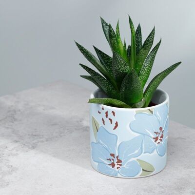 Florens Hesperantha Keramik-Blumentopf für den Innenbereich – klein