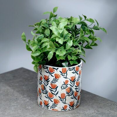 Protea Pick of the Bunch Vaso per piante da interno in ceramica - Grande