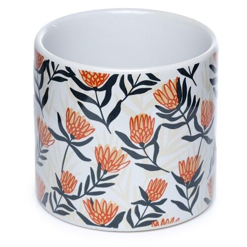 Protea Pick of the Bunch Ceramic Indoor Plant Pot - Small