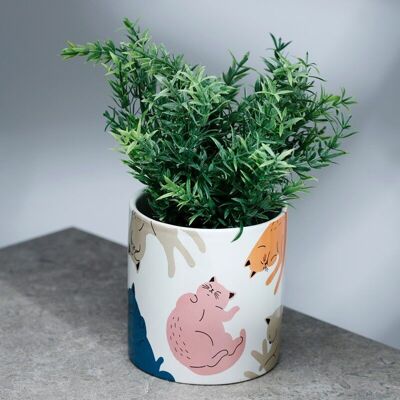 Cat's Life Blumentopf aus Keramik für den Innenbereich – groß