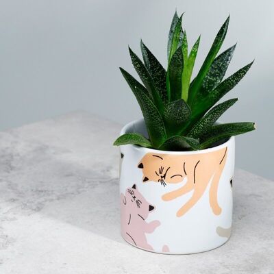 Cat's Life Blumentopf aus Keramik für den Innenbereich – klein