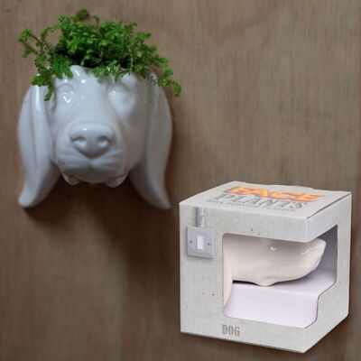 Pot de plante/pot de jardin en céramique tête de chien