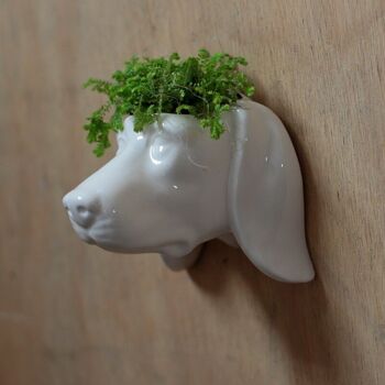 Pot de plante/pot de jardin en céramique tête de chien 2
