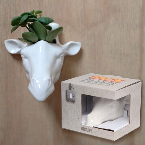 Ceramic Giraffe Head Garden Wall Planter/Plant Pot