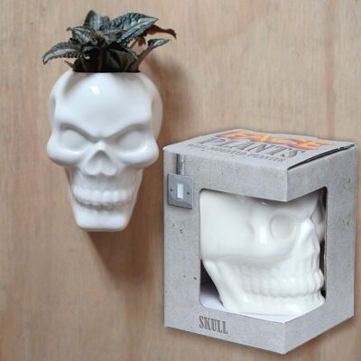 Ceramic Skull Garden Wall Planter/Plant Pot