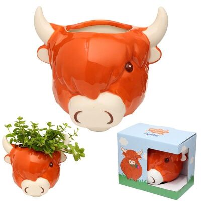 Keramik Highland Coo Cow Head Wandpflanzer/Pflanzentopf