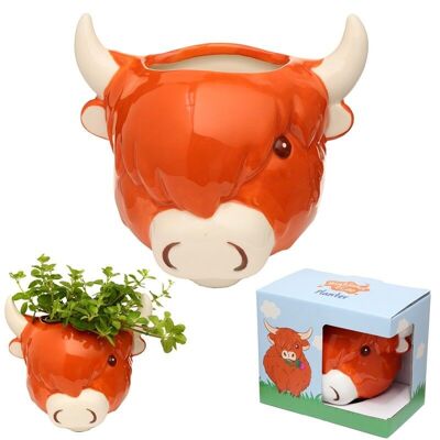 Pot de fleurs/pot de fleurs en céramique à tête de vache Highland Coo