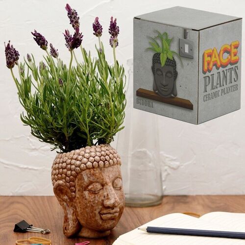 Buddha Head Ceramic Garden Planter/Plant Pot