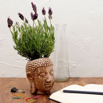 Jardinière/pot de plante en céramique de tête de Bouddha 4