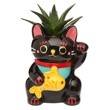 Pot de fleurs/pot de fleurs d'intérieur en céramique noir Maneki Neko Lucky Cat 3