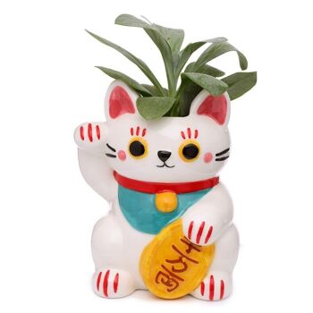 Pot de fleurs/pot de fleurs d'intérieur en céramique blanc Maneki Neko Lucky Cat 3
