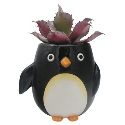 Jardinera de cerámica con forma de pingüino/maceta