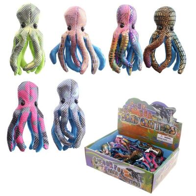 Octopus Kleines Sandtier