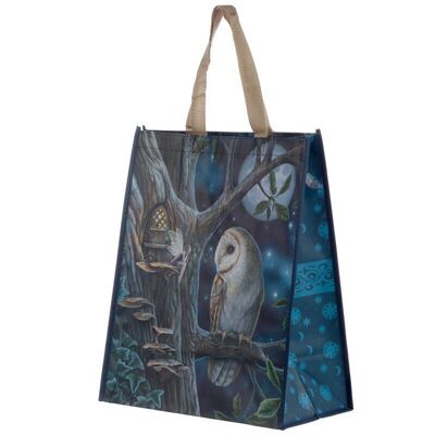 Bolsa de compras reutilizable Lisa Parker Fairy Tales Owl and Fairy