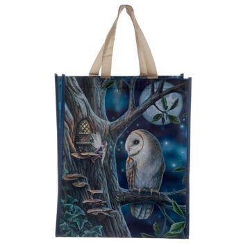 Lisa Parker Fairy Tales Hibou et sac à provisions réutilisable Fairy 2