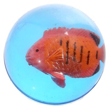 Balle rebondissante en caoutchouc pour poissons tropicaux 3D (baignoire en plastique) 4