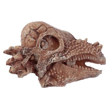 Rawr Dinosaur Skull Fossil Dig-A-Saurs Dig it Out Kit 3