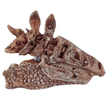 Rawr Dinosaur Skull Fossil Dig-A-Saurs Dig it Out Kit 4
