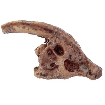 Rawr Dinosaur Skull Fossil Dig-A-Saurs Dig it Out Kit 5