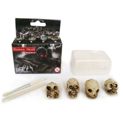 Kit de excavación de cráneo humano Dig-A-Saurs