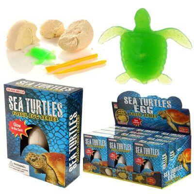 Kit de excavación de tortugas marinas que brillan en la oscuridad