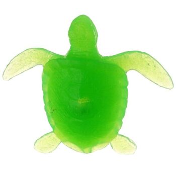 Kit d'extraction de tortue de mer Glow in the Dark 3