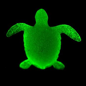 Kit d'extraction de tortue de mer Glow in the Dark 4
