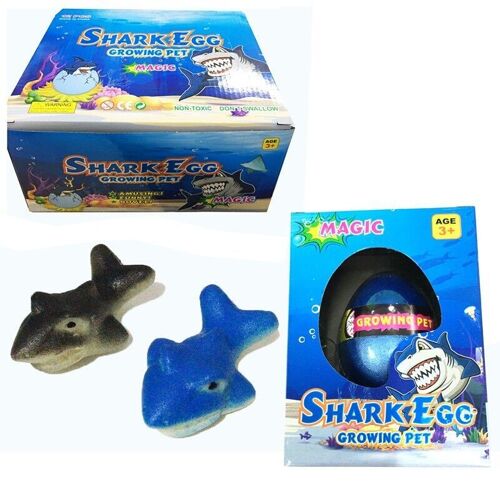 Shark Hatching Egg