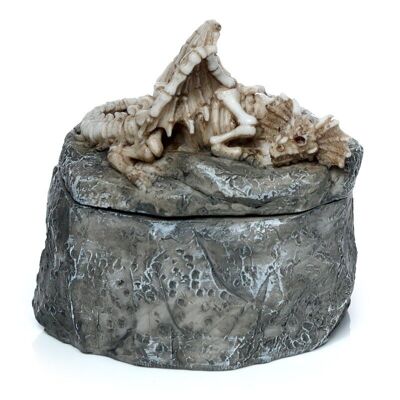 Shadows of Darkness Sleeping Dragon Skeleton Trinket Box