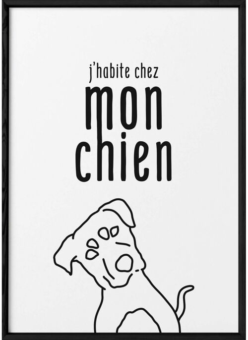 Affiche "J'habite chez mon chien"