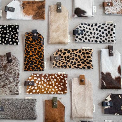 Glasses case