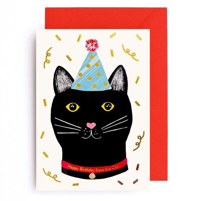 Happy Birthday from the Cat! Party Hat Cat w Gold Confetti
