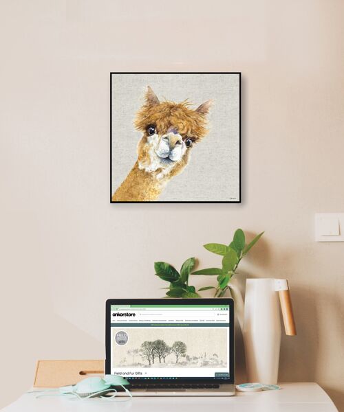 Wall Art Board, Alpaca, Wendy, by Jane Bannon