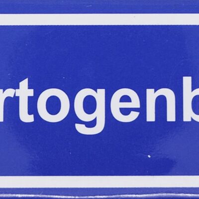 Fridge Magnet Town sign 's-Hertogenbosch