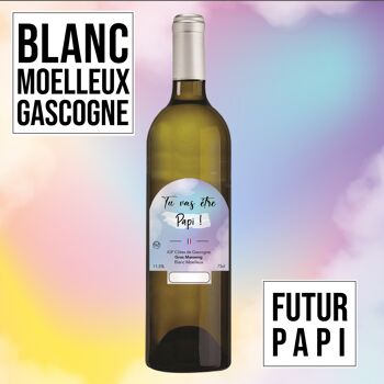 Vin cadeau "Papi"- IGP - Côtes de Gascogne Grand manseng blanc moelleux 75cl 1