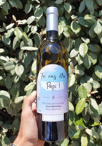 Vin cadeau "Papi"- IGP - Côtes de Gascogne Grand manseng blanc moelleux 75cl 3
