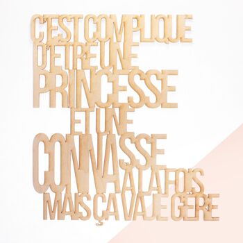 Citation "C'est compliqué d'être une princesse est une connasse à la fois mais ça va je gère "