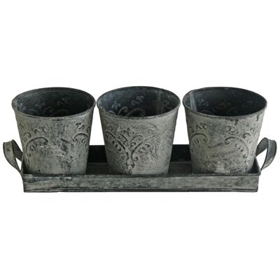 Acanthus Stone 3 Pots on Tray