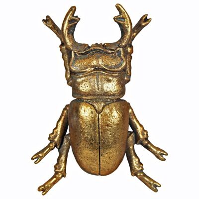 Stag Beetle Décor