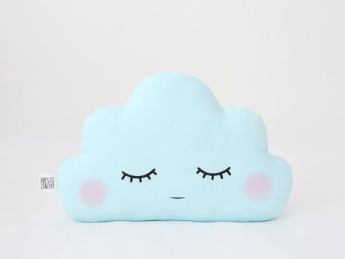 Blushing Blue Mint Cloud Cushion