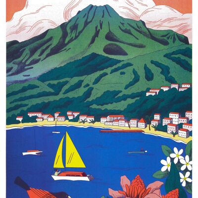 Poster Anne-Hélène Dubray - Martinique, Mount Pelee