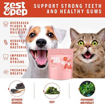 Poudre de plaque dentaire pour chats et chiens 7