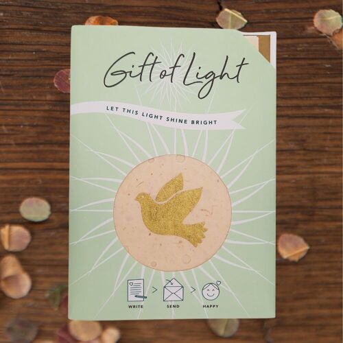 Gift of Light | Dove