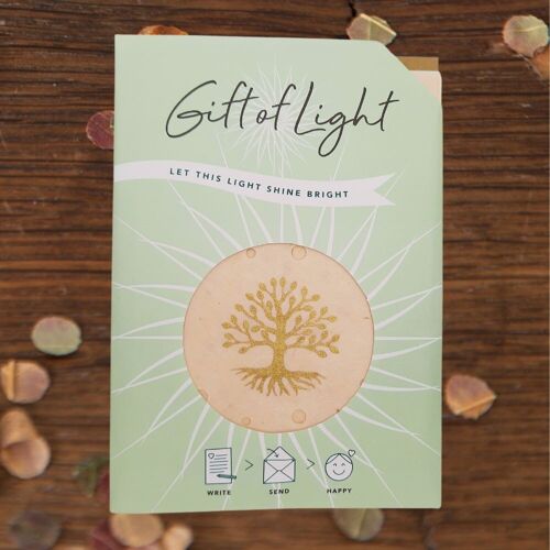 Gift of Light | Tree of Life