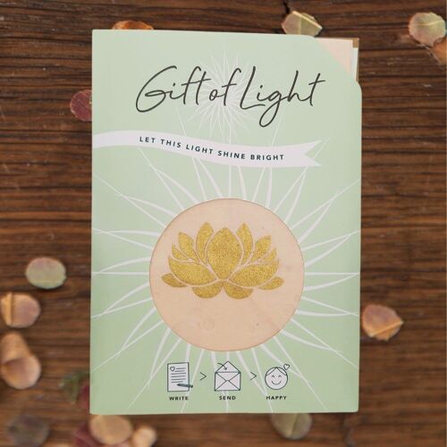 Gift of Light | Lotus